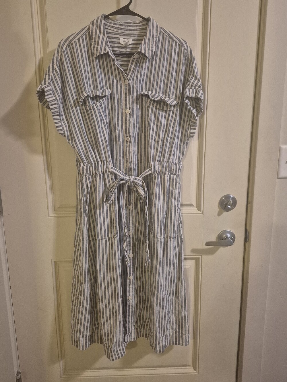 Striped Button-Front Shirt Dress in Blue and White